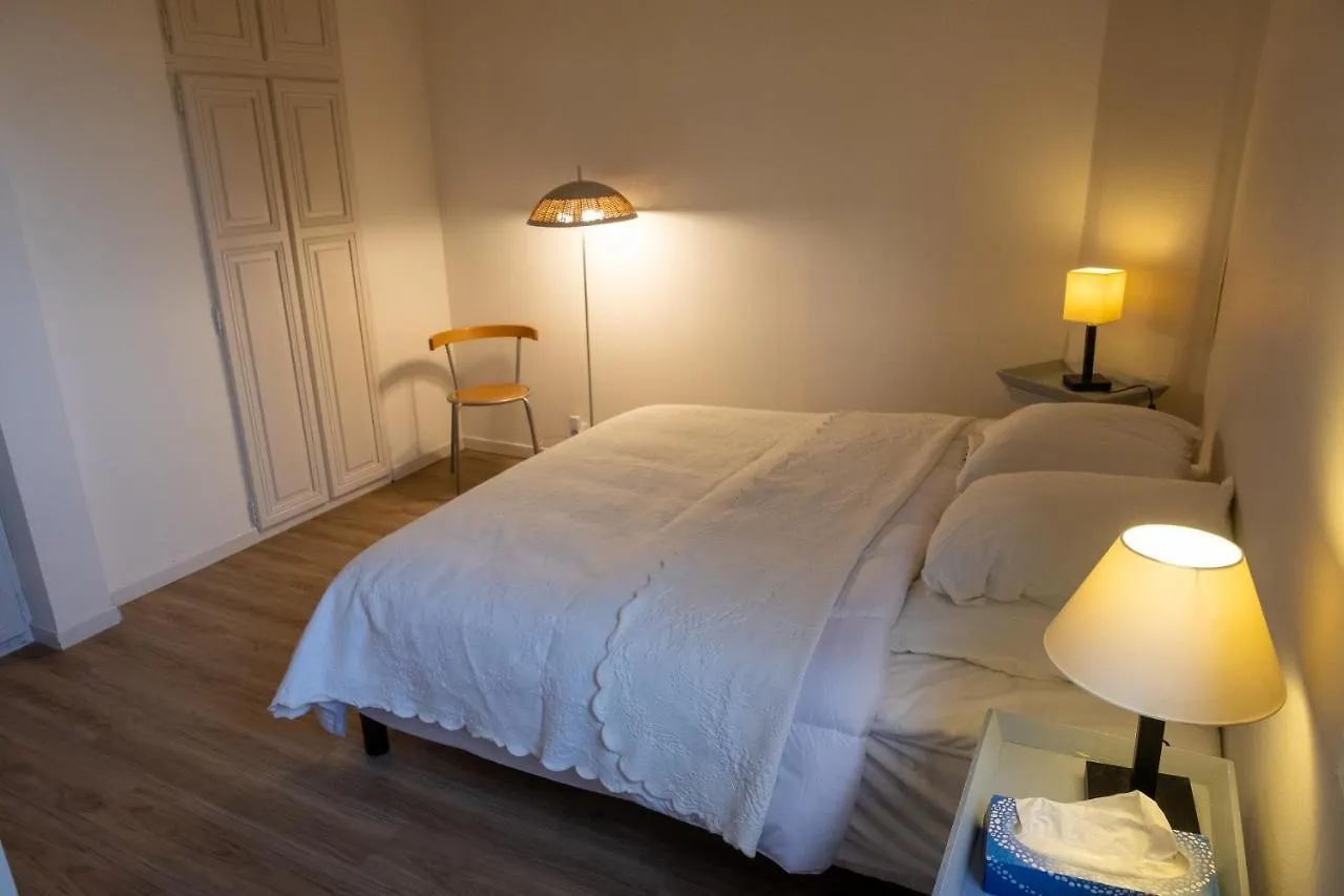 Appartement De Plain-Pied En Montagne Avec Vue Merveilleuse Sur Le Massif De Belledonne Saint Bernard du Touvet